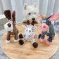 ⏳Hot sale 50% off⏳Squeaky plush toy for dogs