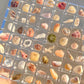 🌊Summer Hot Sale 49% OFF✨Acrylic Magnetic Seashell Display Box