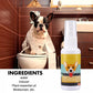 🔥🐾Pet Potty Training Spray
