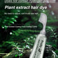 ✨Limited Time Big Sale - 50% OFF✨ Fruit Essence Hair Dyeing Comb
