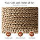 💥Hot Sales-49% OFF🔥Elegant Woven Straw Sun Hat with Bow