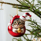 🎄10 pieces😻Cat Christmas tree ornament✨Hanging cat ornaments