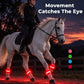 🖤 Black Friday Sale – Up to 50% OFF!🐎Light-up Horse-riding Set