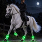 🖤 Black Friday Sale – Up to 50% OFF!🐎Light-up Horse-riding Set