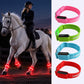 🖤 Black Friday Sale – Up to 50% OFF!🐎Light-up Horse-riding Set