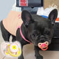 Pet Dog Silicone Pacifier Chew Toy