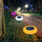 Outdoor Solar Sensor Lights for Garden & Lawn