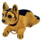 🐶 A charming and dominant dog with a shaking head will accompany you on the path to wealth!🥰