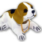 🐶 A charming and dominant dog with a shaking head will accompany you on the path to wealth!🥰