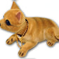 🐶 A charming and dominant dog with a shaking head will accompany you on the path to wealth!🥰