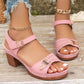 🌸NEW HOT SALE 50% OFF✨Women's Chunky Heel Ankle Strap Sandals