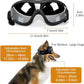 🔥BUY 2 GET 10% OFF💝Outdoor Goggles for Your Dogs