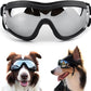 🔥BUY 2 GET 10% OFF💝Outdoor Goggles for Your Dogs
