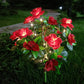 💐Limited-time 50% off⏰Simulation Azalea Flower Ground Stake Solar Light💐💡