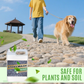 🔥Flash Sale 49% Off🔥Quick-Drying Sticky Landscape Adhesive - Instant Hold, Zero Mess! 🌿✨