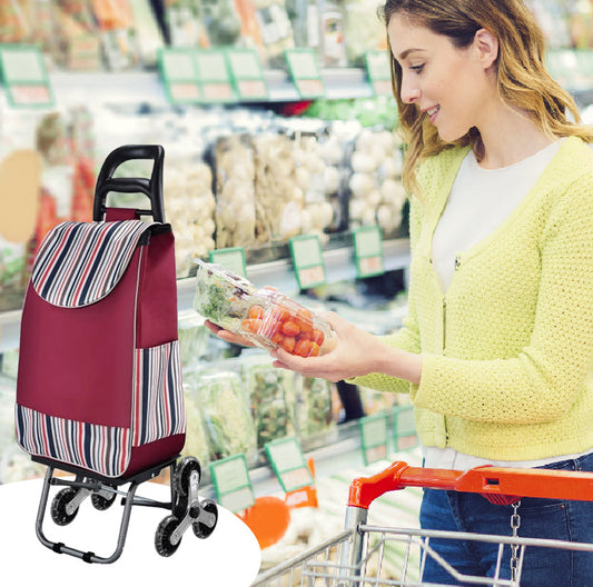 Large Capacity Portable Folding Stair Climbable Cart