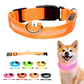 Adjustable LED Dog Collar for Dog Safety