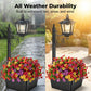 💐New arrival 40% OFF!🌿Wrought Iron Solar Light – Retro Style & All-Weather