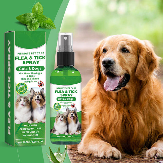 🐾 LIMITED-TIME 50% OFF! 🍃 Natural Flea & Tick Spray for Pets – Peppermint & Tea Tree Oil, Aloe Vera, 100ml ✨