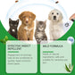 🐾 LIMITED-TIME 50% OFF! 🍃 Natural Flea & Tick Spray for Pets – Peppermint & Tea Tree Oil, Aloe Vera, 100ml ✨