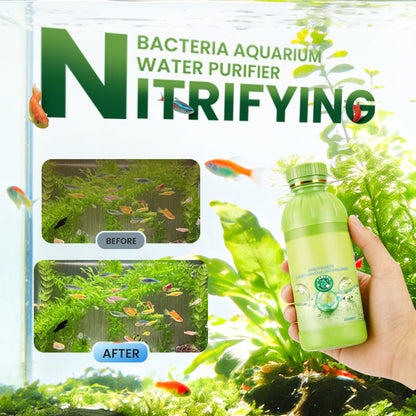 Nitrifying Bacteria Aquarium Water Purifier