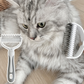 Dual-Sided Pet Grooming Rake