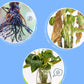 Universal nutrient solution for flowering potted plants