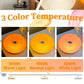 Donut Touch Control LED Table Lamp