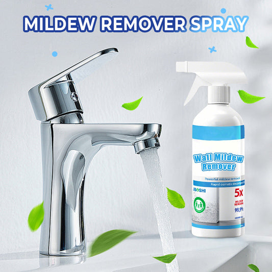 Mold & Mildew Remover Spray