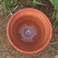 🌿 49% OFF NOW! 🔥 Premium 3D Cone Pot Base – Prevents Root Rot, Boosts Drainage & Airflow for Healthier Plants🌳