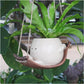 🔥Hot Sale 50% OFF🌷Smily Face Planter Pot