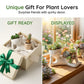 Quirky Ceramic Planter for Desktop Decor