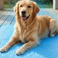 Summer Breathable Pet Cooling Mat