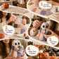 Little Ghost's Cozy Halloween DIY Patchwork Kit