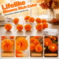 🌼LAST DAY SPECIAL £10.99! 🎃Artificial Marigold Flower LED String Lights – Waterproof 8 Lighting Modes, 20 LEDs Battery Powered, Decor for Halloween, Day Of The Dead Altar, Porch & Indoor Festival Decor