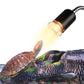 🎁Hot Sale 49% OFF🔥Reptile Heat Lamp for Turtles