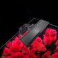 🔥HOT SALE 50%OFF✨Full Spectrum LED Aquarium Clamp Light