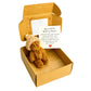🎁Gift Idea Hot Sale 50% OFF🔥Mini Plush Pocket Teddy Bear with Greeting Card & Gift Box
