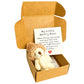 🎁Gift Idea Hot Sale 50% OFF🔥Mini Plush Pocket Teddy Bear with Greeting Card & Gift Box