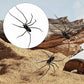 Spider Fridge Magnet🎁Realistic Spider Magnets, for Refrigerator, Garage Door, or Car