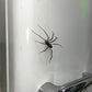 Spider Fridge Magnet🎁Realistic Spider Magnets, for Refrigerator, Garage Door, or Car