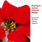 Christmas Poinsettia Flower String Lights