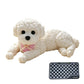 🧸 50% OFF! 🐶 Squeezable Teddy Dog – Stress Relief, Soft & Cute ✨
