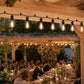 Outdoor Secure String Light Clips