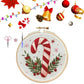 ⏳Limited-time 50% off⏰Christmas Embroidery Kit🎅
