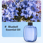 🎁Gift Idea Hot Sale 49% OFF🌸Automatic Fragrance Spray for Home