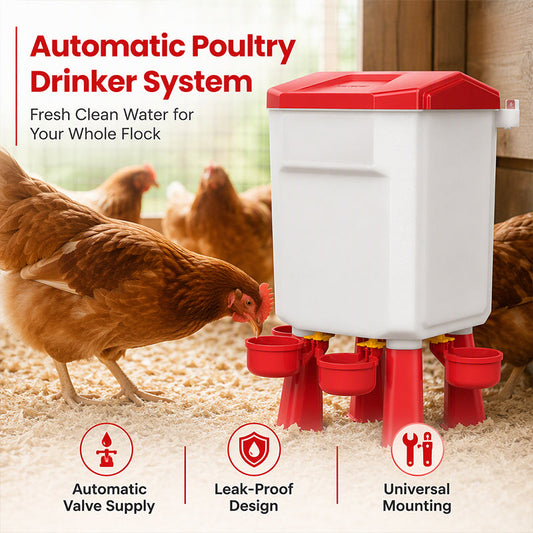 📢📢40% OFF !! ⏰Gravity Poultry Waterer