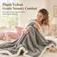 Double Layer Thickened Sherpa Fleece Blanket Soft Warm Throw Blanket for Autumn Winter Office Nap