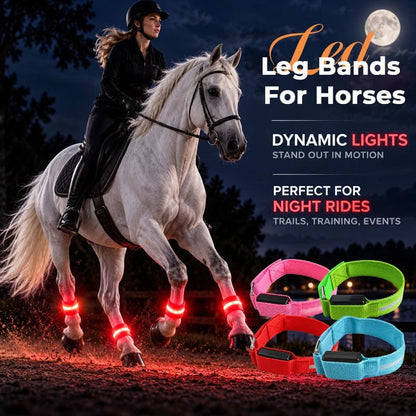 LED Horse Leg Bands – High-Visibility Light-Up Bands