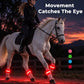 LED Horse Leg Bands – High-Visibility Light-Up Bands